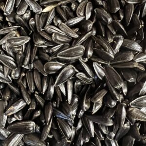 Close-up of black sunflower seeds.