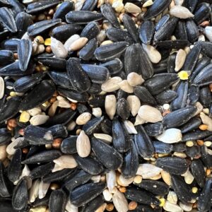 Mixed birdseed with sunflower seeds and grains