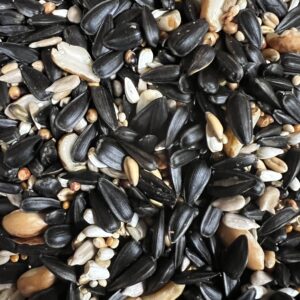 Mixed sunflower seeds and nuts close-up.