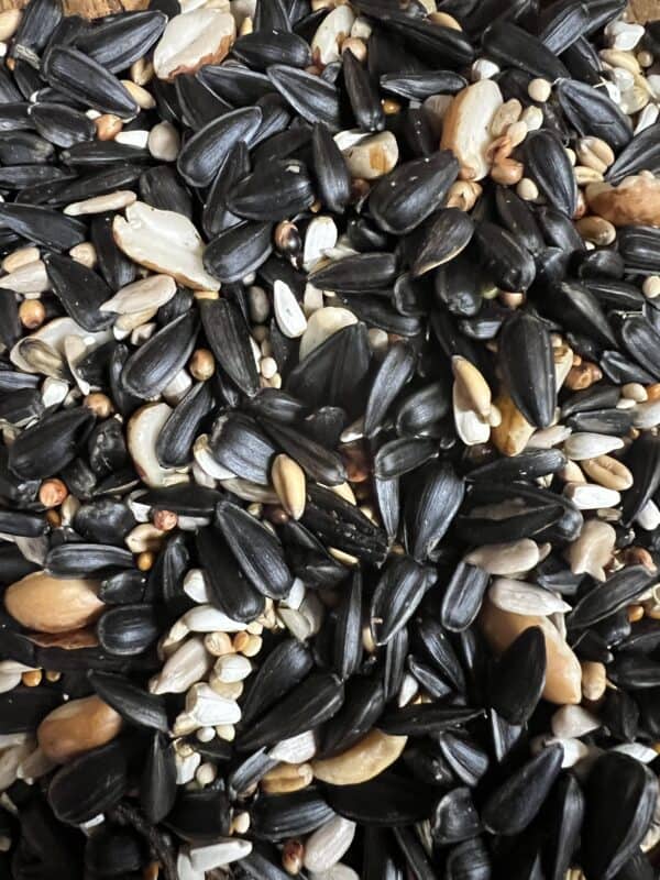 Mixed sunflower seeds and nuts close-up.