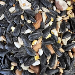 Mixed birdseed with sunflower seeds and grains.