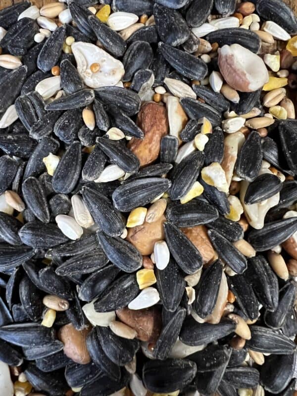 Mixed birdseed with sunflower seeds and grains.