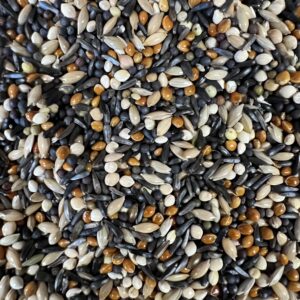 Mixed wild rice grains close-up.