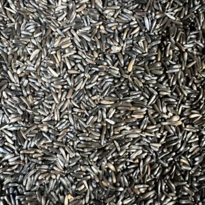 Close-up of black wild rice grains.