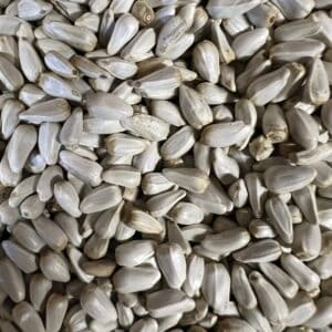 Close-up of sunflower seeds background.
