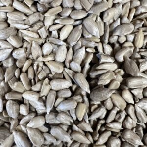 Close-up of shelled sunflower seeds.