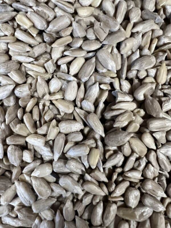 Close-up of shelled sunflower seeds.