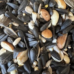 Assorted mixed nuts and seeds close-up.
