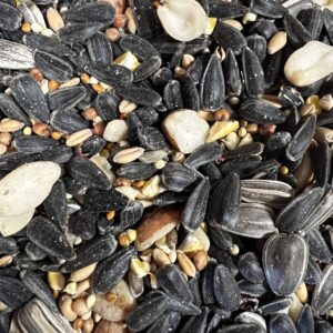 Mixed birdseed with sunflower seeds and grains.