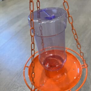 Oriole Jelly Feeder