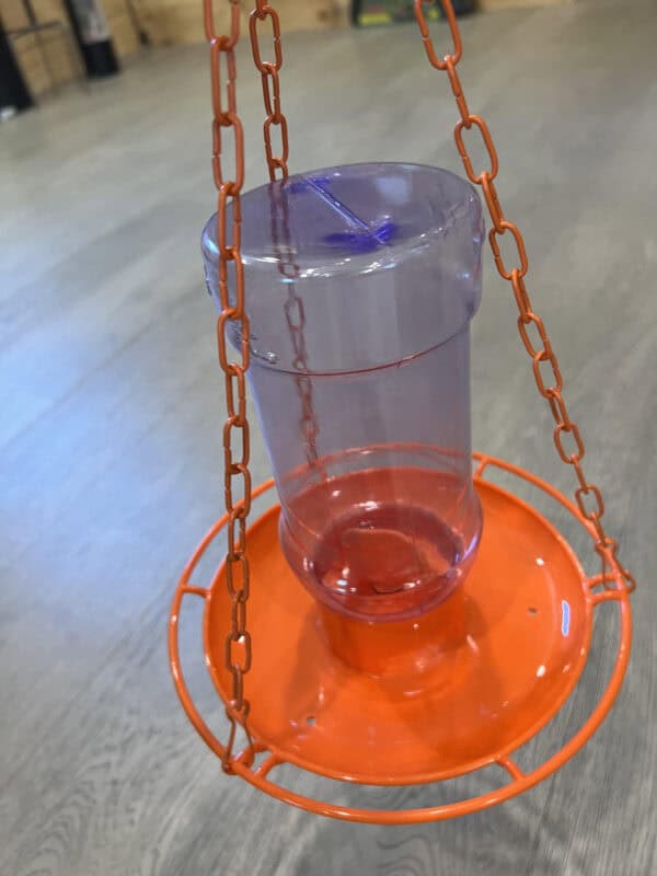 Oriole Jelly Feeder